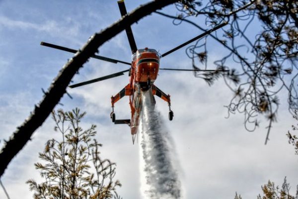 Σχηματάρι: Ξέσπασε φωτιά σε αγροτοδασική έκταση – Επιχειρεί με ισχυρές δυνάμεις η Πυροσβεστική