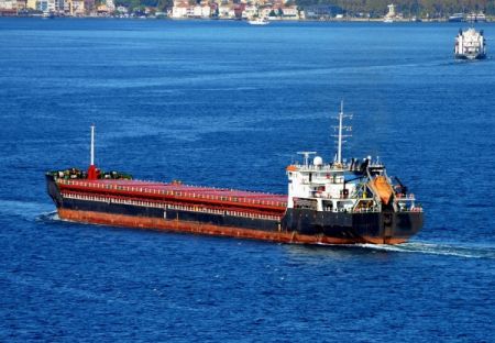 Guardian: Ρωσικό πλοίο που μεταφέρει «κλεμμένα» ουκρανικά σιτηρά κρατείται από τις τουρκικές αρχές