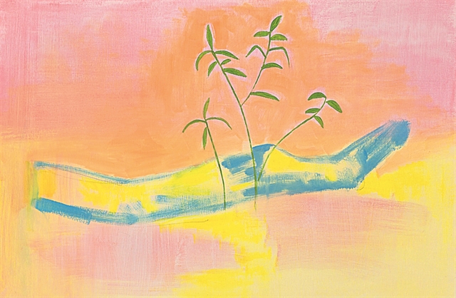 Ανοιχτά Χανιά