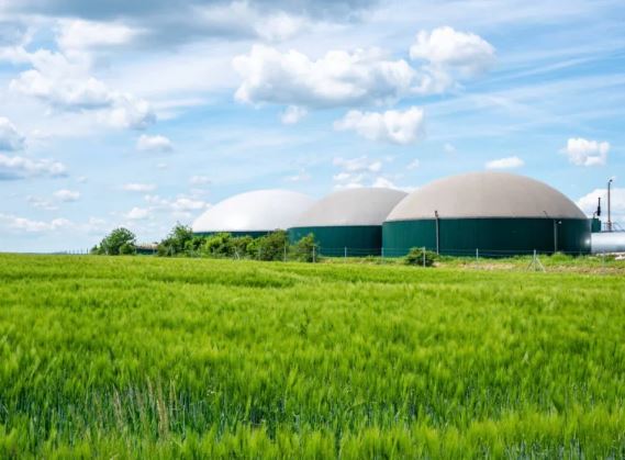Incentives for biomethane production