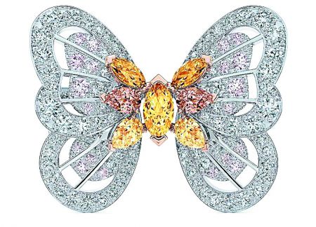 Η διαμαντοφόρος πεταλούδα στα πανιά του ιστιοφόρου