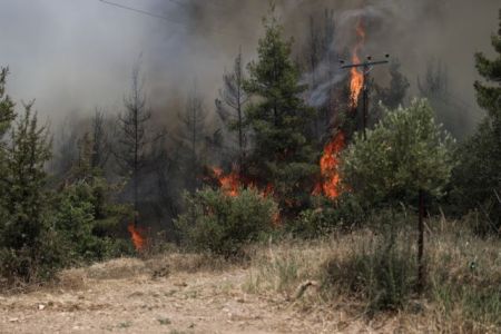 Κίνδυνος πυρκαγιάς σε εννέα περιοχές της χώρας την Πέμπτη – Απαγόρευση εισόδου σε εθνικούς δρυμούς και δάση