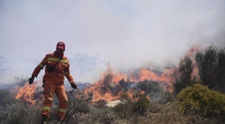 Σάμος: Οριοθετήθηκε η μεγάλη φωτιά – Συνεχίζονται οι εναέριες επιχειρήσεις