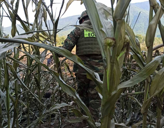 Antonov: Ολοκληρώθηκε η ανάσυρση και των 8 σορών –  Σε εξέλιξη η επιχείρηση εξουδετέρωσης των πυρομαχικών