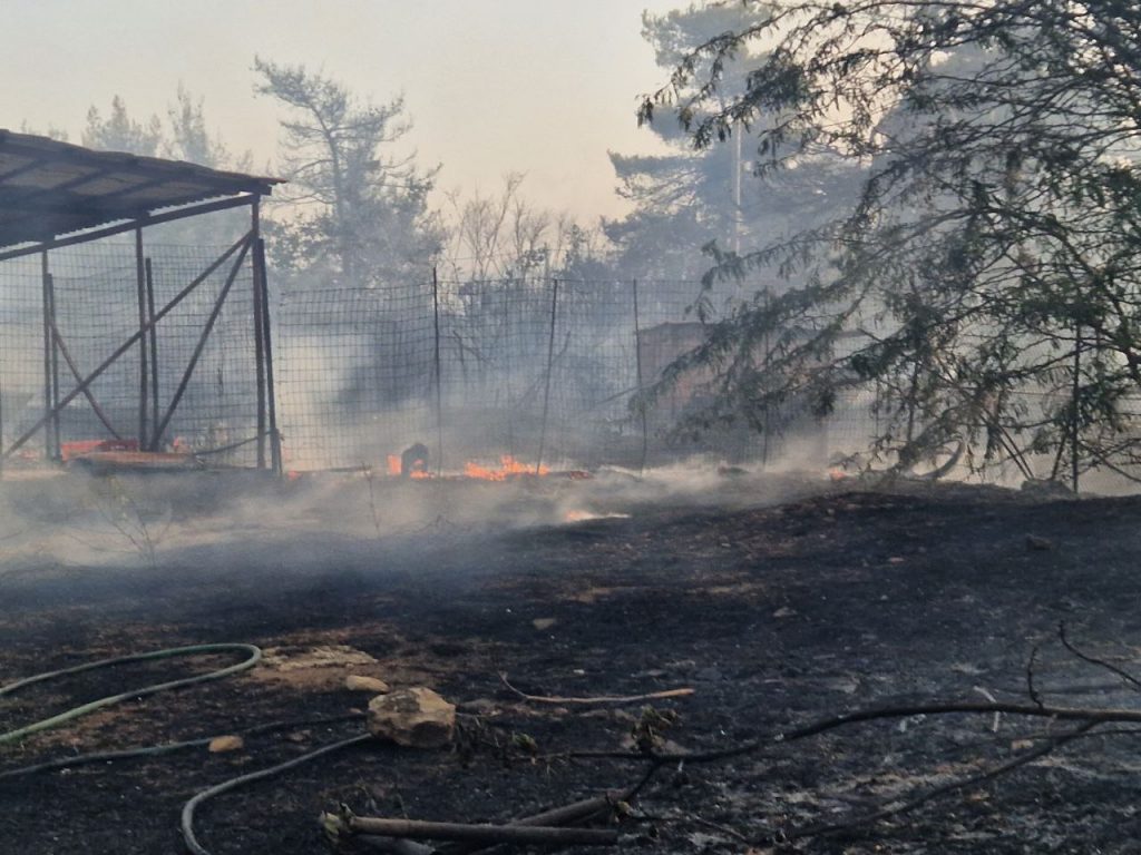 Φωτιά στην Πεντέλη: Αυτοκτόνησε 84χρονος άνδρας