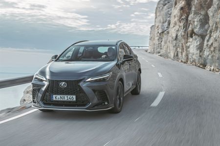 Το κυρίαρχο είδος