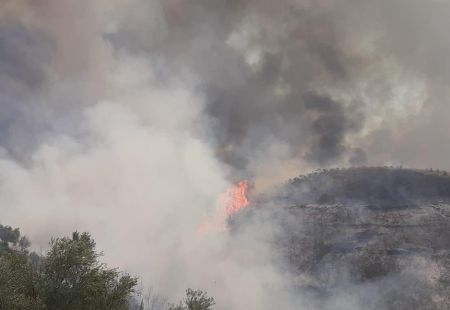 Φωτιά στην Ηλεία: Πλησιάζει στα σπίτια, απομακρύνονται κάτοικοι