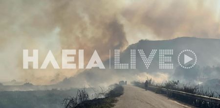 Νέα φωτιά στην Ηλεία – Εκκενώνεται το χωριό Πηγάδι