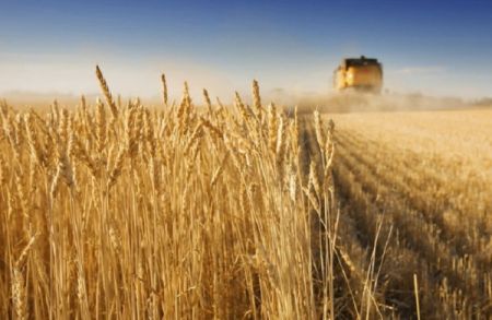 ΗΠΑ: Η Ουάσιγκτον χαιρετίζει τη συμφωνία Ρωσίας – Ουκρανίας για τα σιτηρά