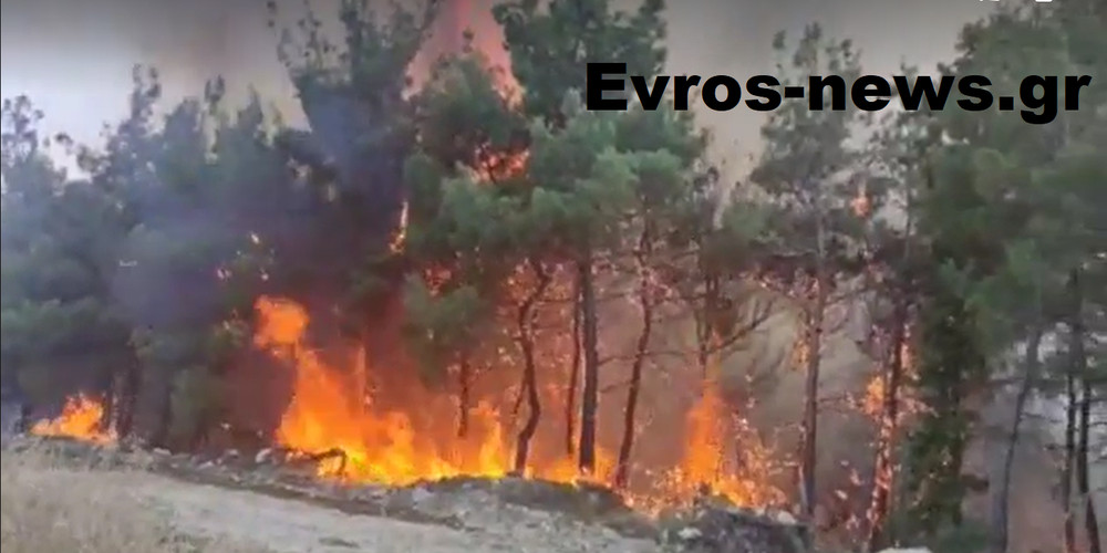 Fiery front raging in Evros
