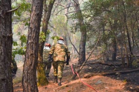 Φωτιά: Αγώνας να μην φτάσει η φωτιά στον πυρήνα του εθνικού πάρκου – Τι είπαν Στυλιανίδης, Αμυράς από Δαδιά