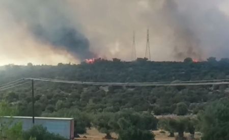 Φωτιά στη Μάνδρα Αττικής – Εντολή εκκένωσης δύο οικισμών