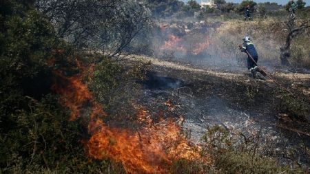 Έβρος: Για έβδομη μέρα στις φλόγες το δάσος της Δαδιάς
