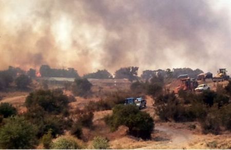 Φωτιά στη Δαδιά: Συνεχίζεται για 8η μέρα η μάχη με τις φλόγες –  Στάχτη 40.000 στρέμματα
