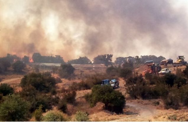 Φωτιά στη Δαδιά: Συνεχίζεται για 8η μέρα η μάχη με τις φλόγες –  Στάχτη 40.000 στρέμματα
