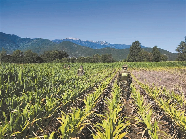 Τα μυστήρια της μοιραίας πτήσης του Antonov