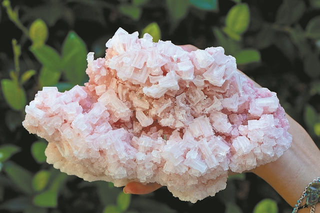 Αρχαία ζωή στα έγκατα της Γης