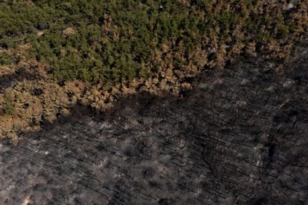 Δαδιά: Η επόμενη ημέρα μετά την καταστροφική πυρκαγιά