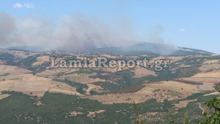 Πυροσβεστική: Η εικόνα στα πύρινα μέτωπα – 65 δασικές πυρκαγιές σε ένα 24ωρο