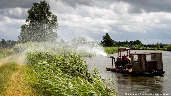Ολλανδία: Θα σπάσουν τα φράγματα λόγω ξηρασίας; | tovima.gr