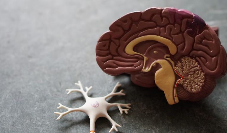 Άνοια: Το πρώιμο σύμπτωμα που οι περισσότεροι αγνοούν | tovima.gr Άνοια: Το πρώιμο σύμπτωμα που οι περισσότεροι αγνοούν | tovima.gr