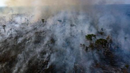 Αμαζόνιος: Ρεκόρ αποψίλωσης το 2022 – Καταστράφηκαν 5.474 στρέμματα δάσους σε 7 μήνες