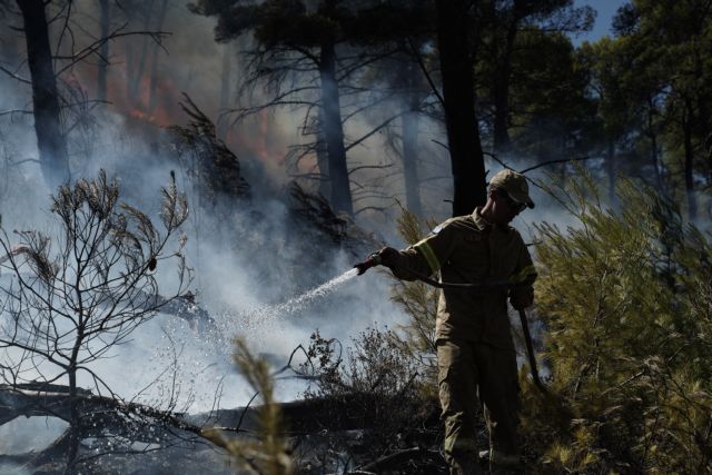 Πυροσβεστική: Χρωστούν σε κάθε πυροσβέστη 200 ρεπό και 150 μέρες άδεια | tovima.gr