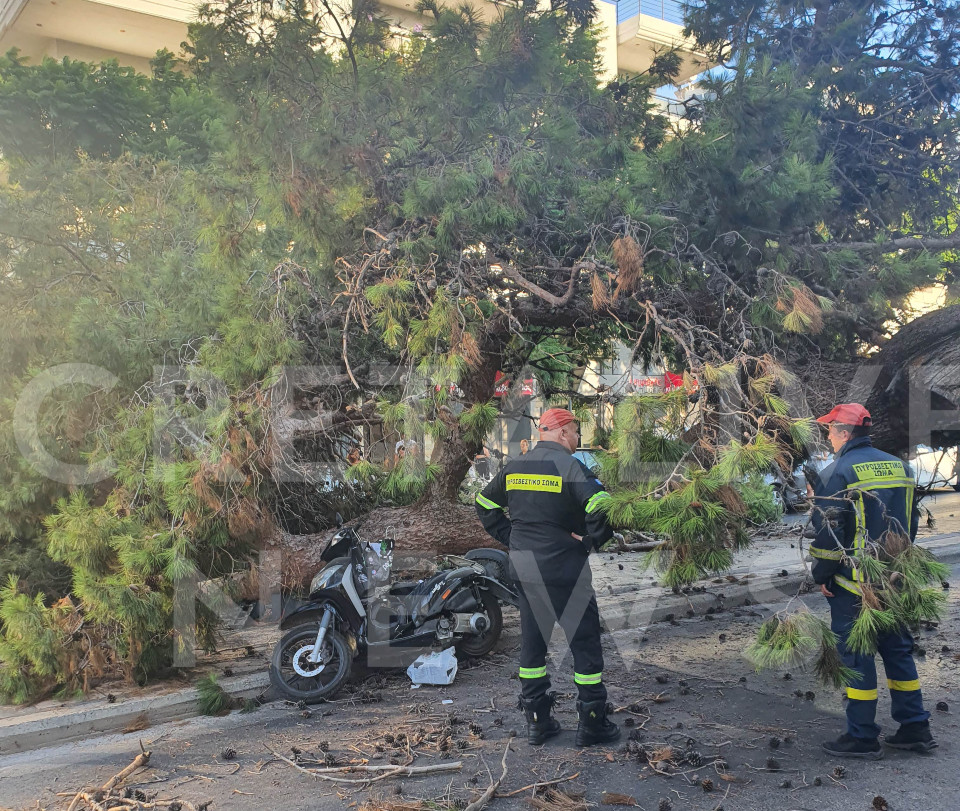 Κρήτη: Άνδρας έχασε τη ζωή του όταν καταπλακώθηκε από δένδρο