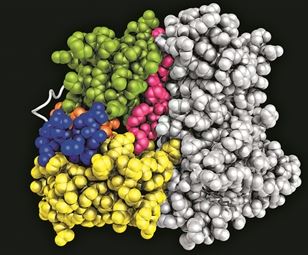 Απεικονίζοντας το αόρατο