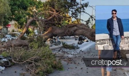 Κρήτη: Βίντεο ντοκουμέντο με την πτώση του δέντρου που σκότωσε τον 51χρονο