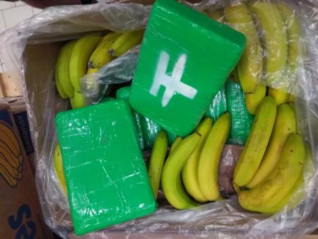 Κοκαΐνη: Κατασχέθηκαν 3,2 τόνοι στον Ισημερινό – Ήταν κρυμμένη σε κοντέινερ με μπανάνες