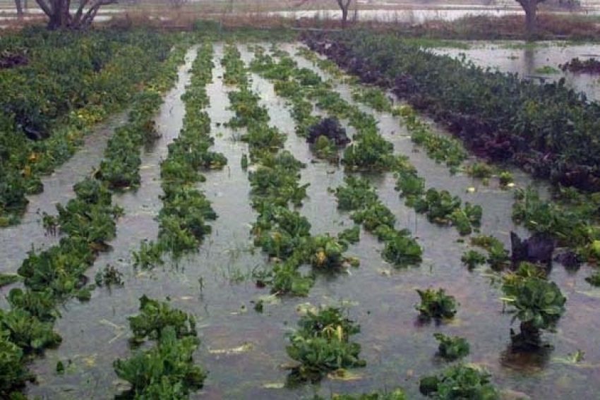 Κοζάνη: Σε κατάσταση έκτακτης ανάγκης ο Δήμος Εορδαίας εξαιτίας της κακοκαιρίας