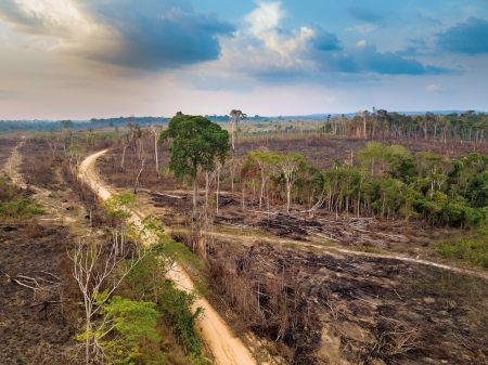 Κλιματική αλλαγή, Το θρίλερ της ζωής μας