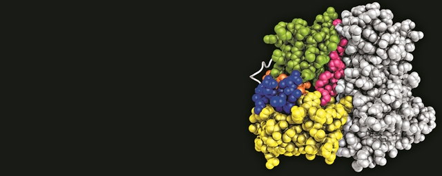 Ο «μάγος» της δομικής βιολογίας