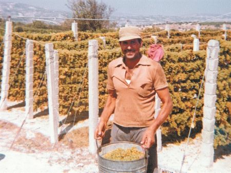 Η κρητική διατροφή σε πρώτο… πιάτο