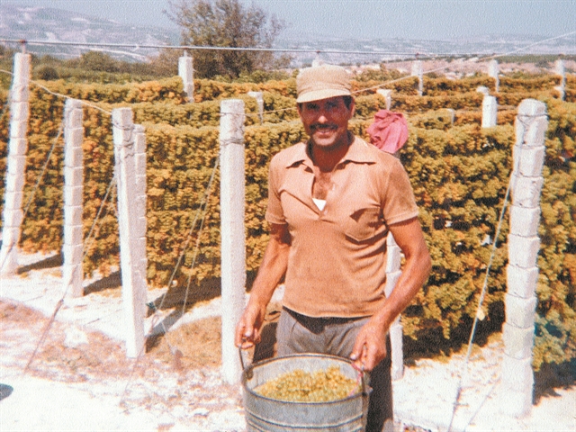 Η κρητική διατροφή σε πρώτο… πιάτο