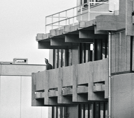 50 χρόνια από τη «Σφαγή του Μονάχου»: Το χρονικό, τα τραγικά λάθη και η συνέχεια του θρίλερ