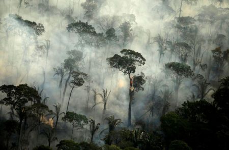 Αμαζόνιος: Καταστροφικό ρεκόρ δεκαετίας στις πυρκαγιές του Αυγούστου