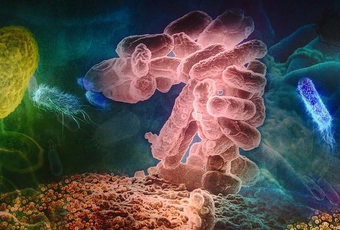 Νοσηλεία για λοίμωξη σε μικρή ηλικία φέρνει πιο κοντά την άνοια