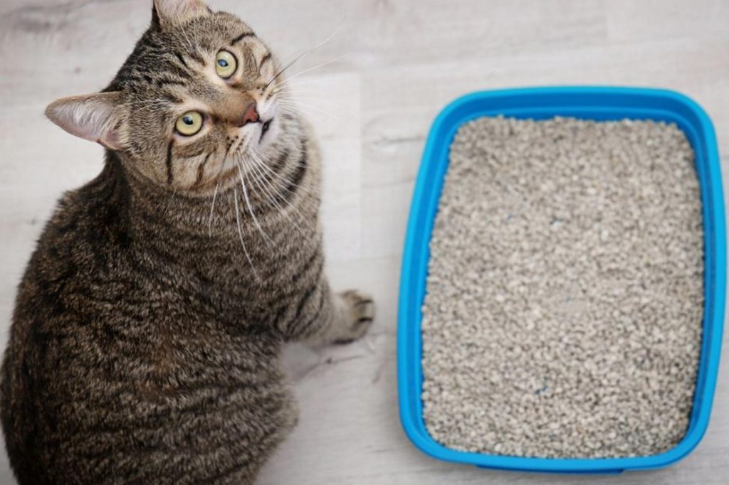 Το σκάνδαλο  Siemens ll..