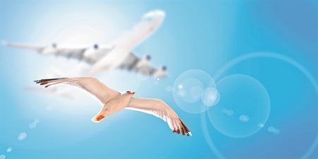 Μαθαίνοντας…από τους ειδικούς