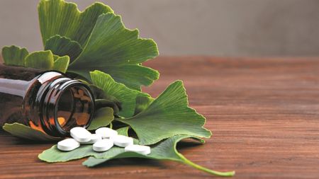 Η απάντηση των φυτών στις ακραίες συνθήκες