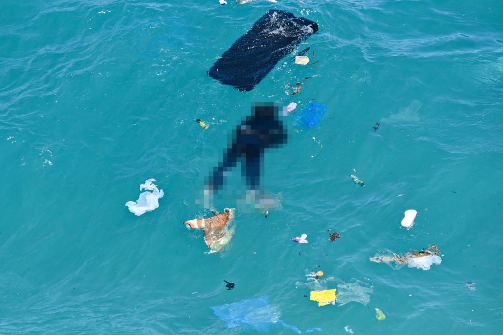 Κύθηρα: Οι δυσμενείς καιρικές συνθήκες δυσκολεύουν τις έρευνες και την ανάσυρση σορών