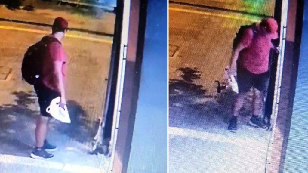 Θεσσαλονίκη: Διδάκτωρ στο ΑΠΘ ο 39χρονος που ποδοπάτησε και σκότωσε το γατάκι