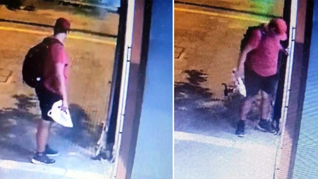 Θεσσαλονίκη: Διδάκτωρ στο ΑΠΘ ο 39χρονος που ποδοπάτησε και σκότωσε το γατάκι