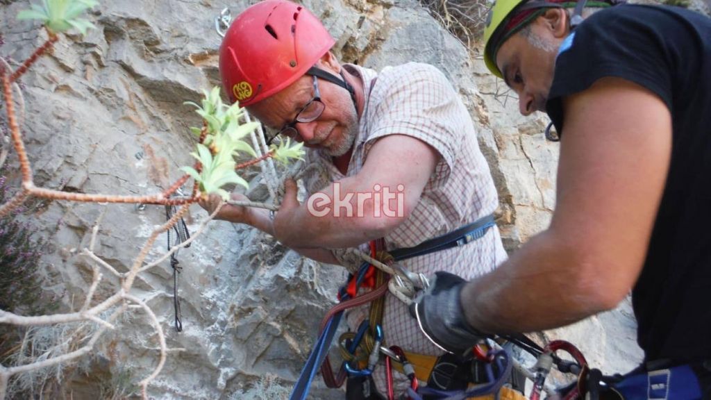 Κρήτη: Καρέ – καρέ η διάσωση του τουρίστα στο Φαράγγι της Σαμαριάς