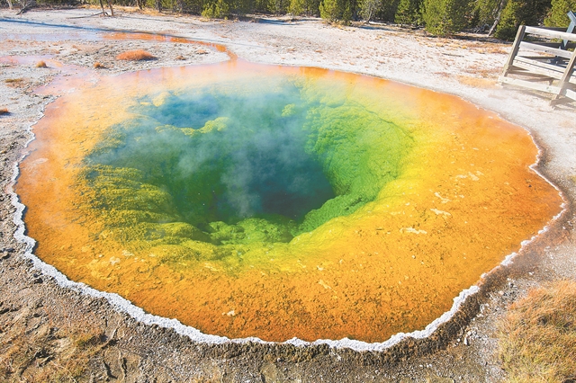 ΜικρΟσκοπικοί «θησαυροί» για βιομηχανία και περιβάλλον