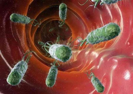 Κορωνοϊός: Αυξάνει τον κίνδυνο άλλων λοιμώξεων, επειδή διαταράσσει τα βακτήρια του εντέρου