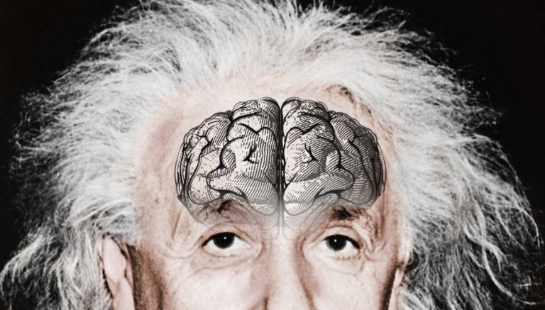 Η παράξενη μεταθανάτια πορεία του εγκεφάλου του Άλμπερτ Αϊνστάιν | tovima.gr