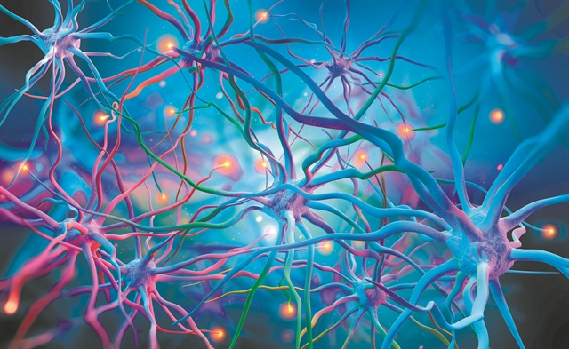 Σε «σιωπηλό δολοφόνο» μπορεί να μετατραπεί η COVID-19 για τον εγκέφαλο